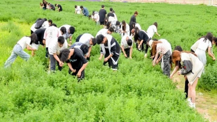 信息工程学院老师