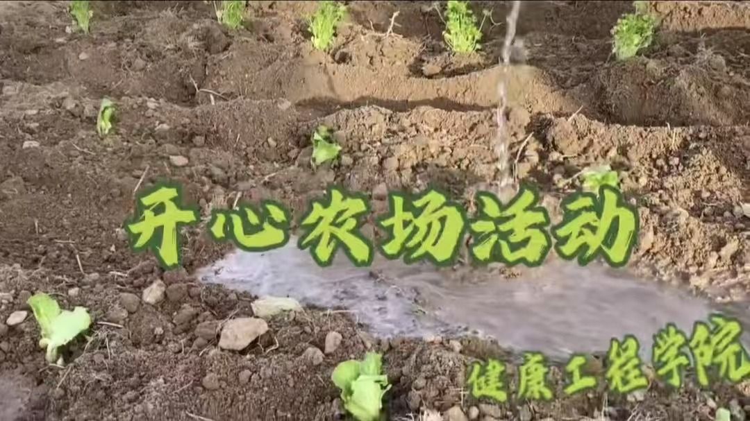 信息工程学院老师